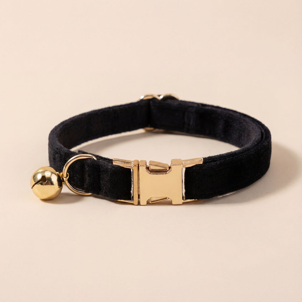 Dog Collar with Location Tracker