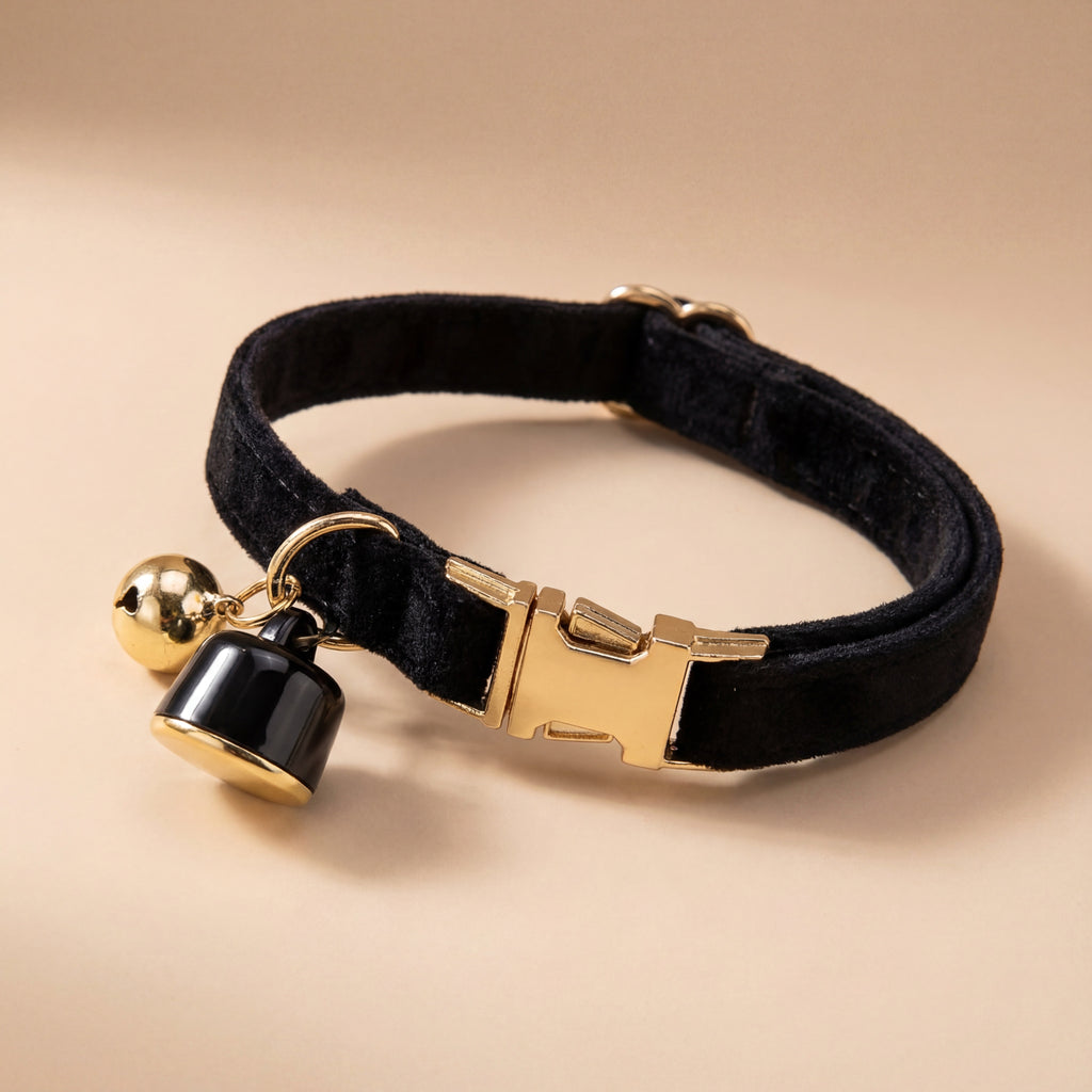 Dog Collar with Location Tracker
